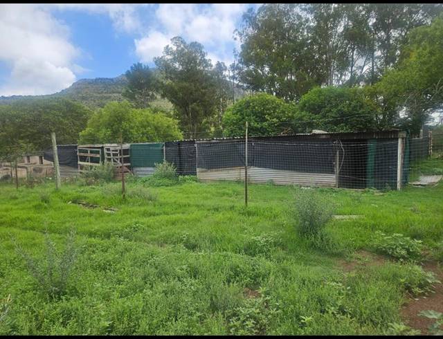 FARM FOR SALE IN QUEENSTOWN RURAL